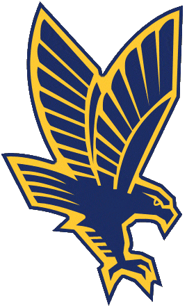 Marquette Golden Eagles 1994-2004 Secondary Logo iron on transfers for fabric